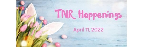 TNR Happenings 4.11 TNR Happenings 4.11