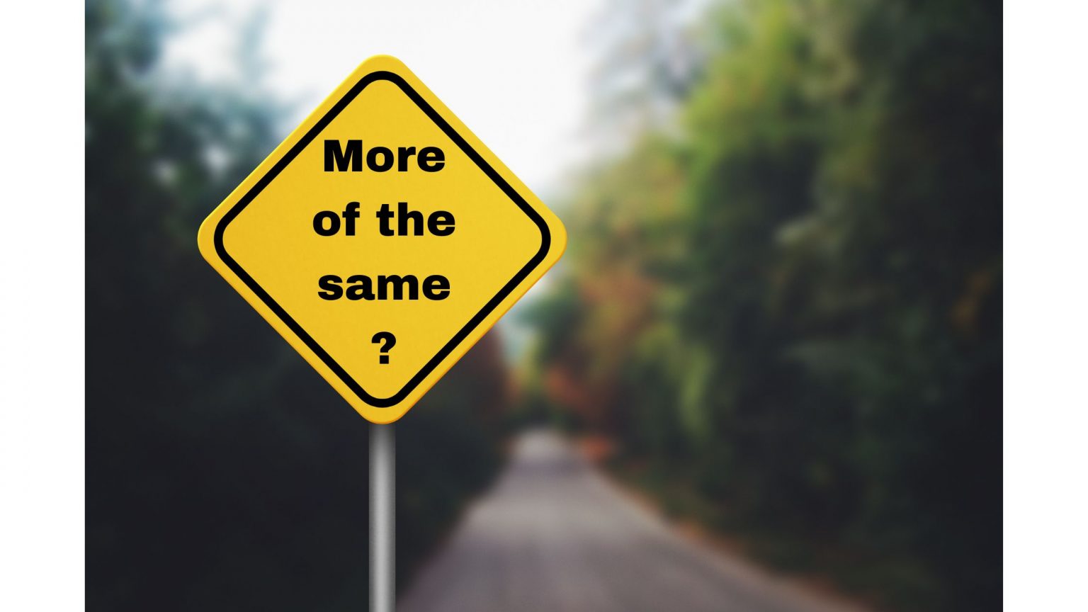 More of the Same? - The New Renaissance