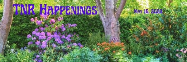 TNR Happenings 5.16 TNR Happenings 5.16