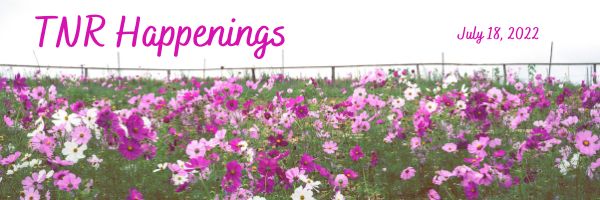 TNR Happenings 7.18