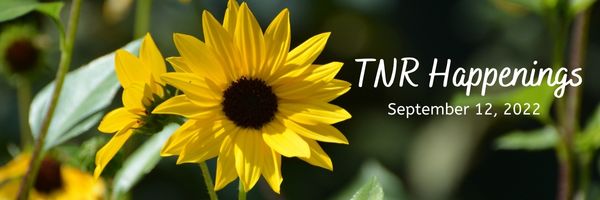 TNR Happenings 9.12 TNR Happenings 9.12