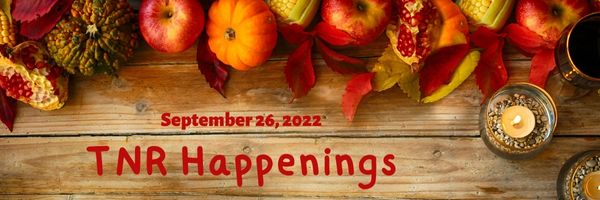 TNR Happenings 9.26