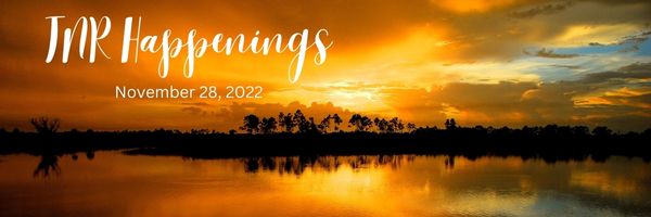 TNR Happenings 11.28