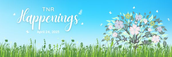 Happenings 4.24