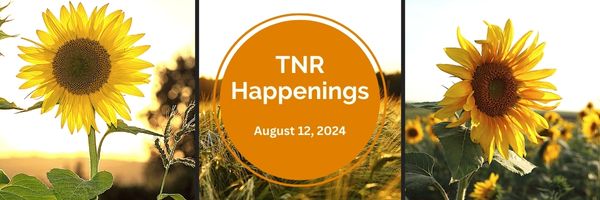 TNR Happenings 8.12.24