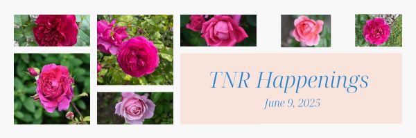 TNR Happs 6.9.25