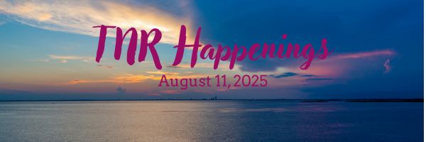 TNR Happs 8.11.25