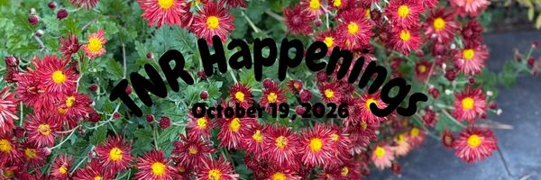 TNR Happs 10.19.26