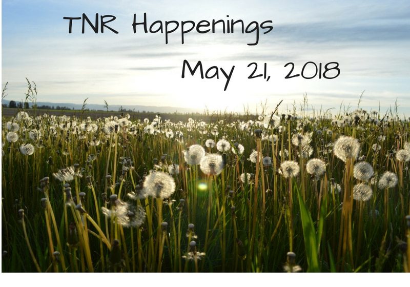 TNR Happenings May 21